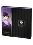 Coffret Naughty Geisha Shunga (4)